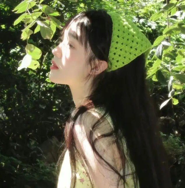 天眼行动